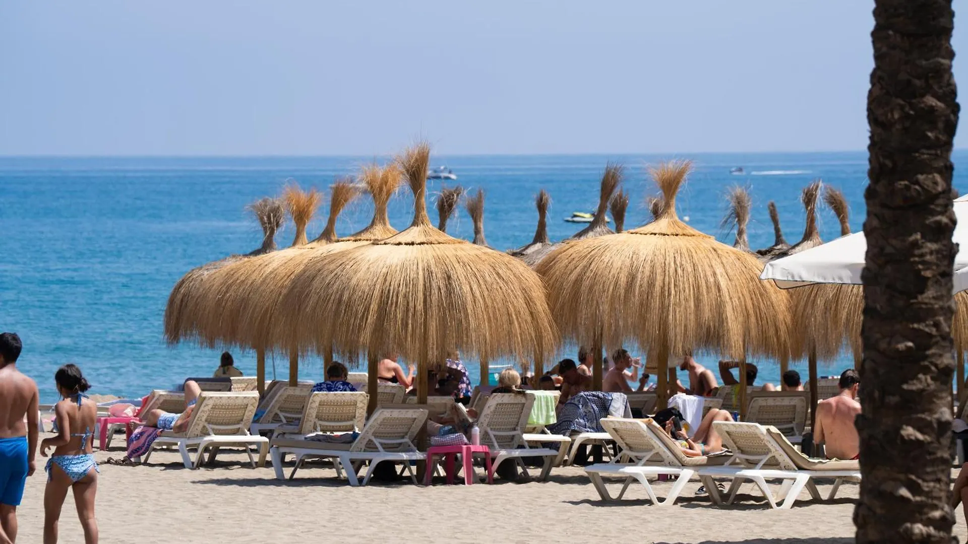 Estudio Maravilla Marbella