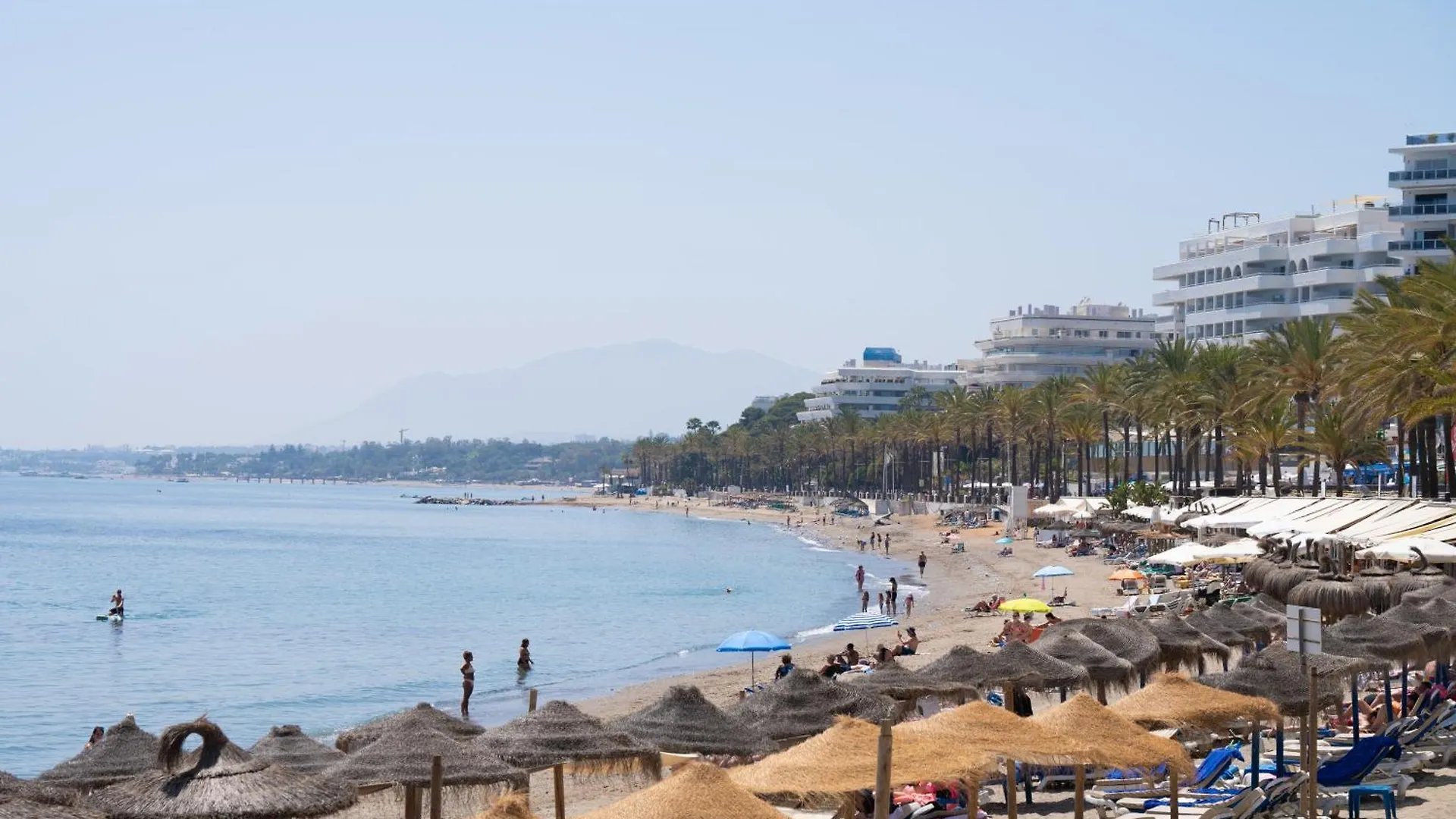 Estudio Maravilla Marbella